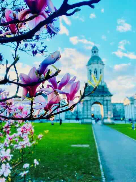 Inmersión Cultural en Dublín – Dublín 7 noches - Viaje escolar de inmersión lingüística en Dublín, Irlanda - Programa educativo en inglés para estudiantes